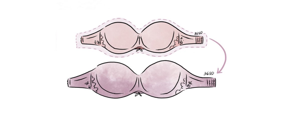 Bra Sizes & Bra Fitting | WINNERS